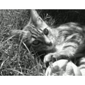 Zeynep Kasal's photo