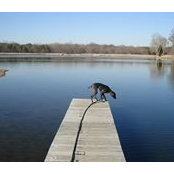 Chuckie Butler's photo