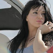 Shay Sattari's photo