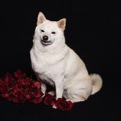 Julianne Butler's photo