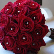 Jeet Sharma's photo