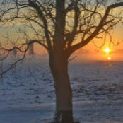 Jennifer Slivka's photo