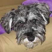 Susan Pucher's photo
