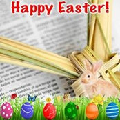 Diane Brus's photo