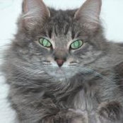 Margaret Hart's photo