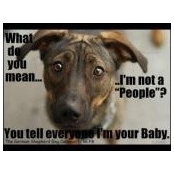 Jennifer Lynch's photo
