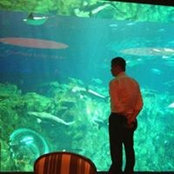 David Lai's photo