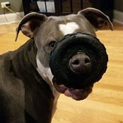 Lynn Walldorf's photo