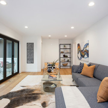 Grape Street House - Remodel + Addition