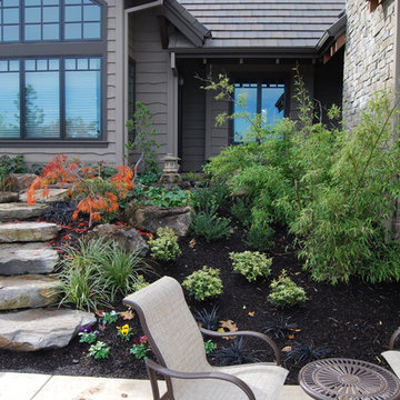 Steps through landscape
