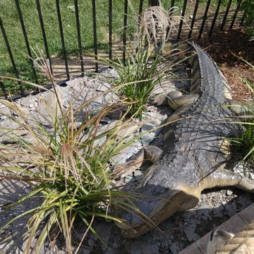 Backyard Boating Gunite Pool with ecoFinish KON