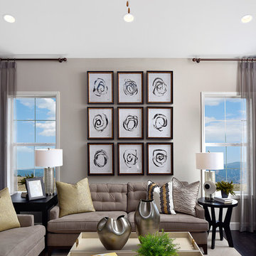 Daley model home in Colorado