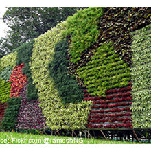 roofs with gardens