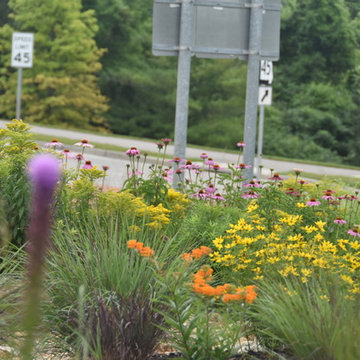 Prairie Drive