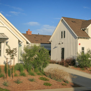 Modern Farmhouse With Traditional Accents - A Variety Of Plants