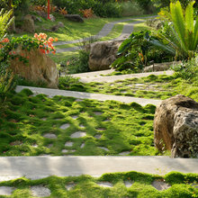Landscapes