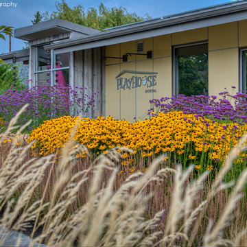COMMERCIAL LANDSCAPE SERVICES