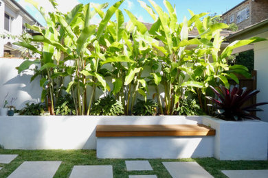 シドニーにあるトロピカルスタイルのおしゃれな庭の写真