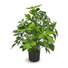 Artifical Trees