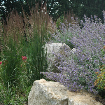 Plantings