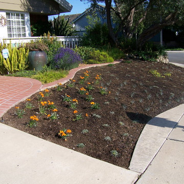 Lawn Replacement Thousand Oaks