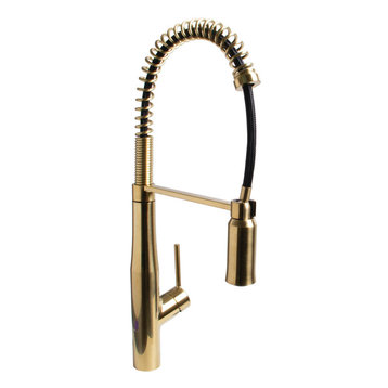 Neo Sensor Spring Kitchen Faucet, Brushed Brass