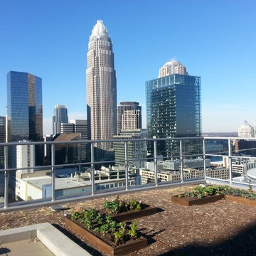 Charlotte Rooftop Garden