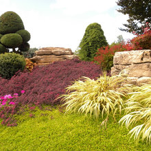 front yard