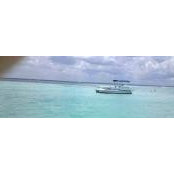 Tina Rummel's photo