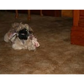 Candice Marcel's photo