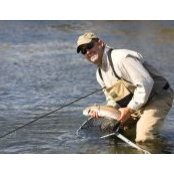 David Stanford's photo