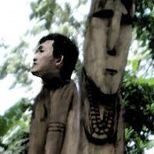 Peng Chin Weeさんの写真