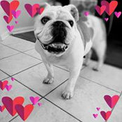 Jessica Boone's photo