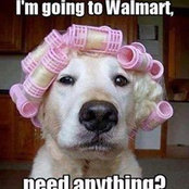 Patricia Lester's photo