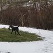 Gerry Blount's photo