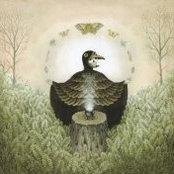 Angela O'Hara's photo