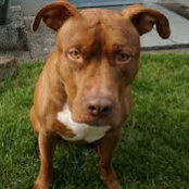 Keegan Reichert's photo