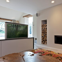 Concealed TV