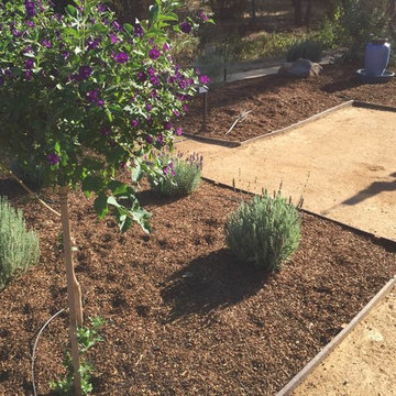 Hummingbird Oasis