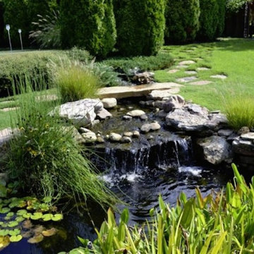 Waterfalls & Streams