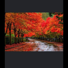 double bluff driveway