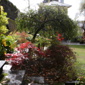 Mature garden renovation