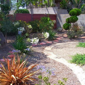 Eco Friendly Landscapes