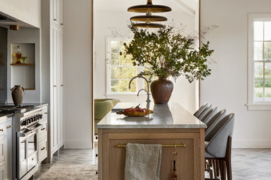 Kitchen - transitional kitchen idea in New York