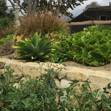 San Roque Contemporary Landscape Renovation