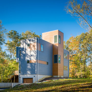 forest house