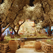 Front Courtyard