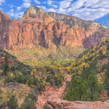 Zion National Park Afternoon