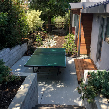 Sideyard Table Tennis