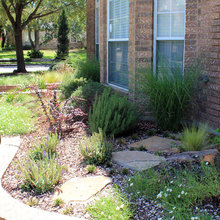 Landscape Ideas